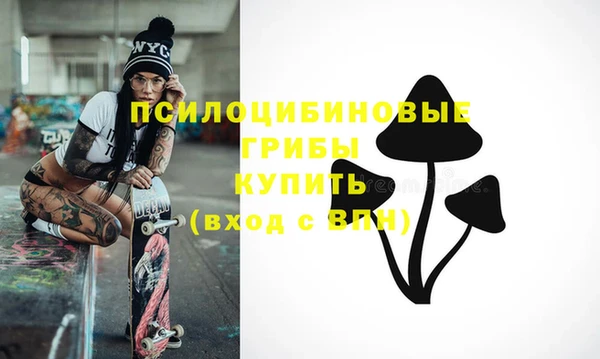 ешки Алзамай