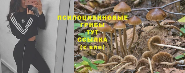ешки Алзамай